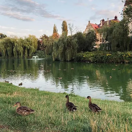 Sofa דירה ורוצלב