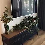 Sofa דירה