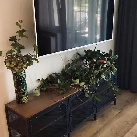 Sofa Apartment