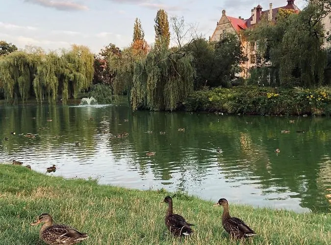 Sofa Apartamento Breslavia